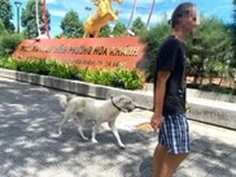 Áp dụng phạt chủ thả chó không rọ mõm: ‘Đụng tới cái ví là sợ liền’