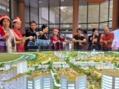 Bác sĩ, luật sư, môi giới bất động sản sẽ bị rà soát thuế trong bao nhiêu năm?