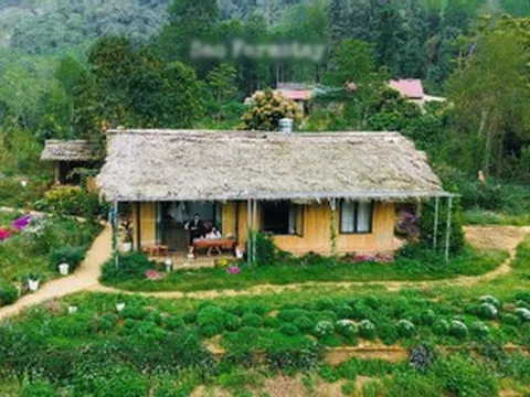 3 bản làng ở Tuyên Quang hút khách trốn nóng, có nơi biệt lập giữa rừng già