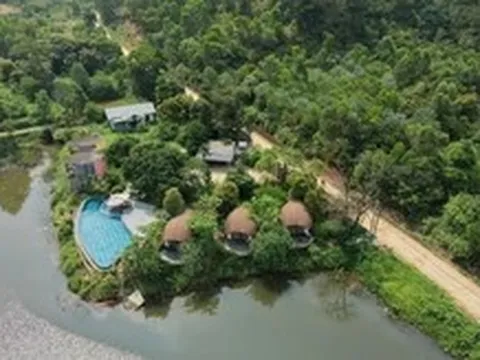 Thành ủy Hà Nội chỉ đạo làm rõ trách nhiệm vụ villa, homestay mọc như nấm trong rừng phòng hộ Sóc Sơn