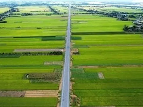 Đi theo tuyến đường ven sông Tiền 'chia lửa' cho quốc lộ 50