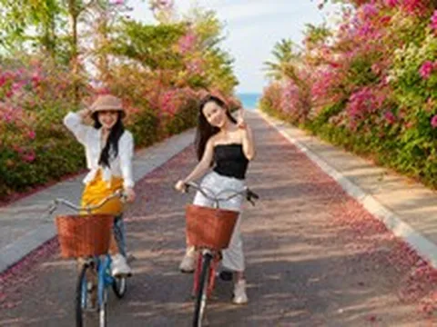 Ngàn hoa rừng về phố biển Quy Nhơn trong mùa lễ hội tháng 8