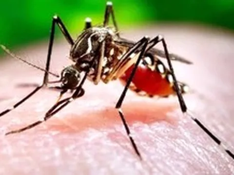 Đắk Lắk có trường hợp đầu tiên tử vong do sốt xuất huyết Dengue trong năm nay