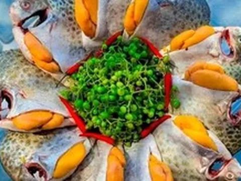 Con cá nâu xuất hiện ở vùng đất Cà Mau tự bao giờ mà thành đặc sản
