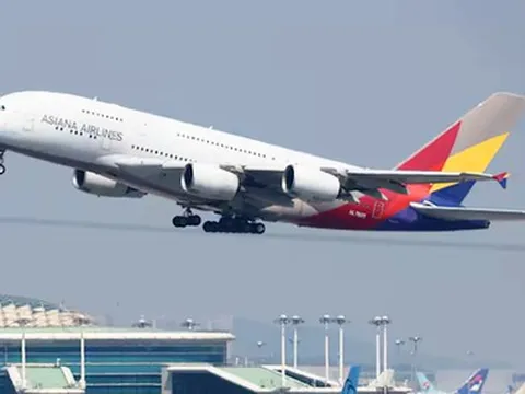 Hành khách kiện Asiana Airlines đòi 100 triệu USD sau khi bị Việt Nam từ chối nhập cảnh