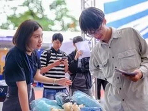 Ra trường, gửi CV miệt mài không ai gọi: Tìm việc sao khó đến vậy?