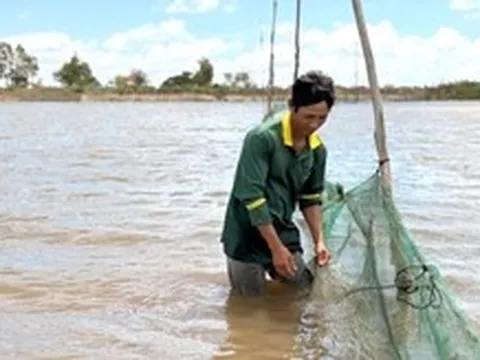 Người dân phấn khởi đón mùa nước nổi về vùng đầu nguồn tỉnh Đồng Tháp