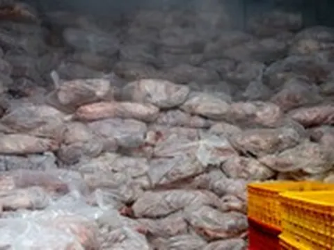 Việt Nam nhập khẩu thịt trâu Ấn Độ nhiều bậc nhất thế giới