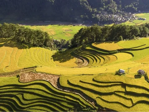 Chấn chỉnh tình trạng thu thêm tiền khách ngắm lúa ở Mù Cang Chải