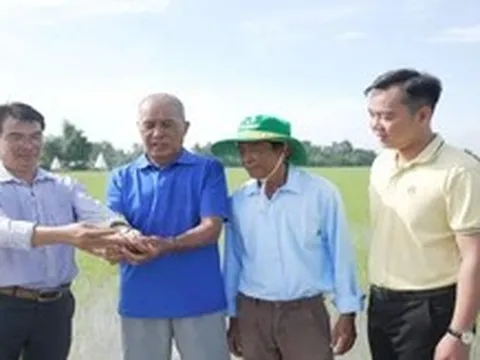 Đúng bí kíp, mùa vàng càng thắng lớn