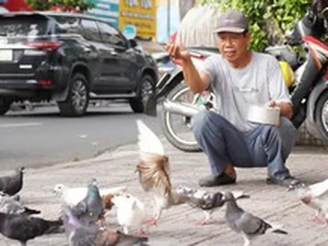 Người cựu binh hơn 30 năm ‘đãi tiệc’ đàn bồ câu giữa lòng TP.HCM