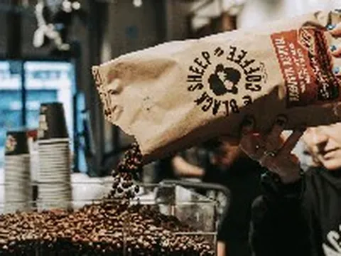Black Sheep Coffee: 'Cừu đen' và cú lội ngược dòng với Robusta