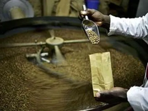 Lối đi riêng của Robusta Ấn Độ
