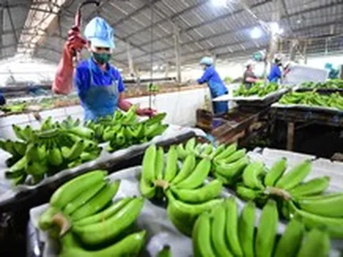 Những điều cần lưu ý để bảo vệ sức khỏe của thận