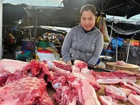 Giá heo hơi ngày 6-9: Cao nhất là các tỉnh phía Bắc, lên mức 60.000 đồng/kg