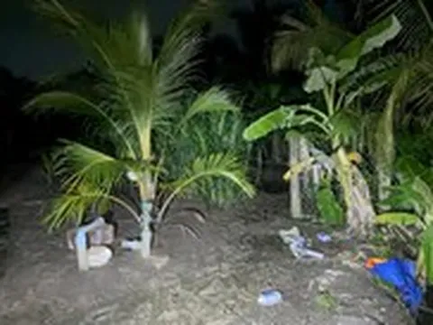 Hai anh em ruột đi tưới dừa chết gần hàng rào lưới B40 nghi do điện giật