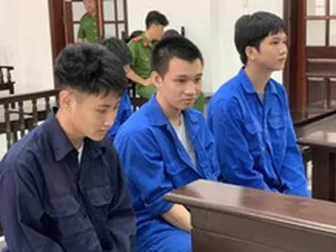 Tìm đến cỏ Mỹ vì mất ngủ, thanh thiếu niên trả giá bằng 4 năm 6 tháng tù