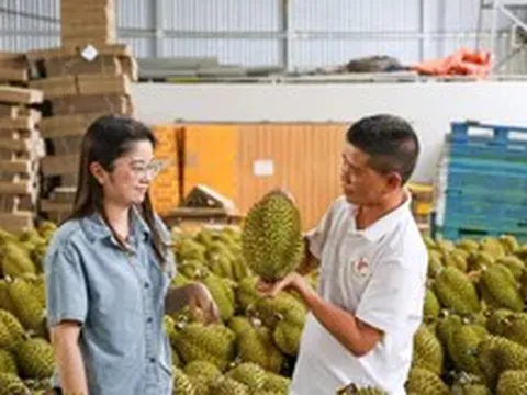 Xuất khẩu sầu riêng hướng tới mốc 4 tỉ USD