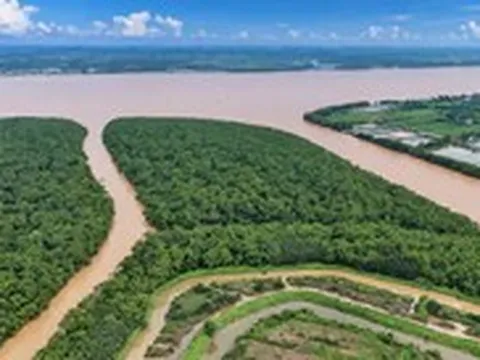Miền Tây, vùng đất chín rồng nay còn 'mấy rồng'?
