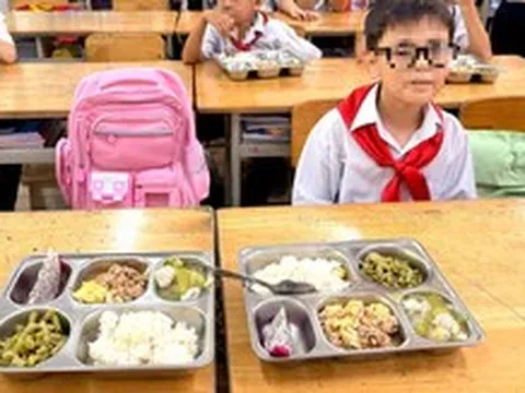 Khánh Hòa siết quản lý suất ăn bán trú, tăng kiểm tra đột xuất tại trường học
