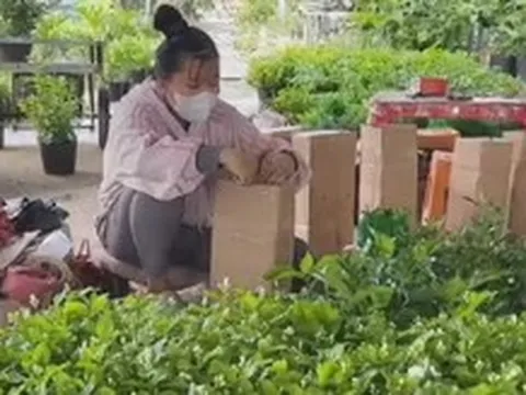 Cuộc thi Lan tỏa năng lượng tích cực 2026: Nông dân Sa Đéc xóa tư duy mùa vụ nhờ kinh tế số