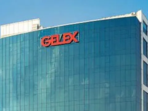 Cổ phiếu 'họ Gelex' đồng loạt giảm kịch sàn
