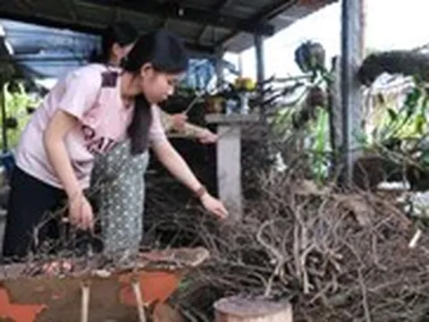 Nữ sinh mồ côi là HS giỏi hóa tỉnh, xin ĐH Cần Thơ hoãn đóng học phí vì chưa đủ tiền