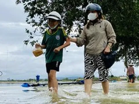 Đà Nẵng dời thiết bị cảnh báo ngập, cháy rừng đến vị trí mới
