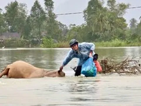 Bí thư Tỉnh ủy Đắk Lắk: Thủy điện xả lũ phải gửi cảnh báo trực tiếp đến người dân trước nửa ngày