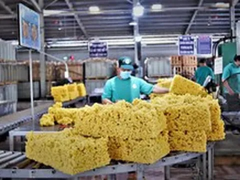 Doanh nghiệp ngành cao su lãi lớn nhờ đền bù đất