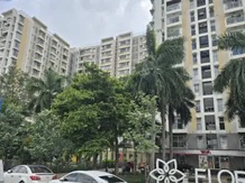 Chung cư có thời hạn sử dụng theo niên hạn công trình, nên xử lý sao với dự án 'trùm mền'?