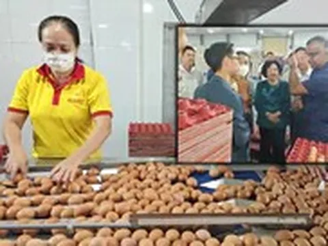 Công ty Ba Huân nợ hơn 600 tỉ đồng, bị xiết nợ hàng chục 'dãy chuồng gà'