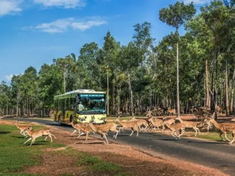 Vinpearl Safari Phú Quốc ghi dấu “kỷ lục kép” trên bản đồ safari thế giới