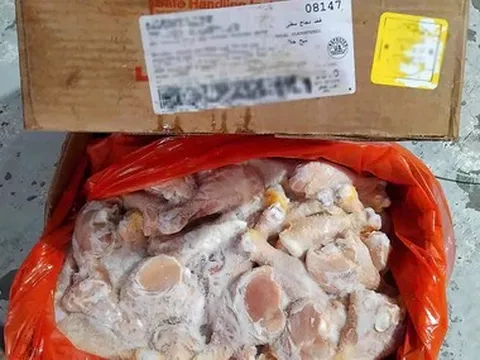 Thịt nhập siêu rẻ đổ bộ: Nhộn nhịp hàng nhập 'bao trọn' trên mạng