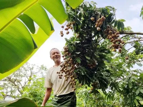 Hưng Yên đánh thức di sản, tạo sức hút mới cho du lịch