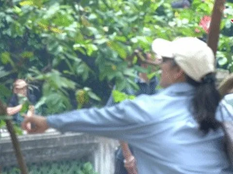 Hàng nghìn người ghé thăm ‘cây ổi cười’ ở lễ hội Lam Kinh