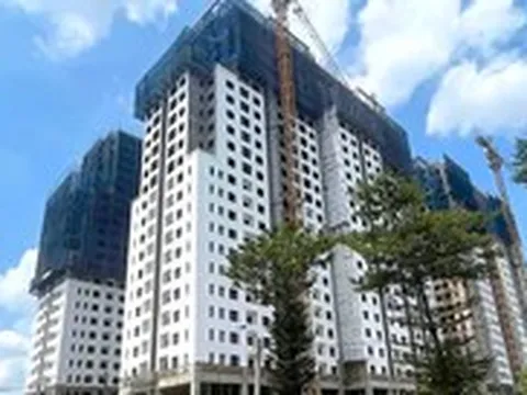 Chủ đầu tư bán 'chui' 682 căn hộ rồi ngưng thi công đang nợ thuế hơn 46 tỉ đồng