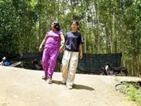 Ngày nào cũng tìm mẹ trong mưa gió, ở miếu hoang, nữ sinh đậu đại học cả xóm Trà Bồng che chở