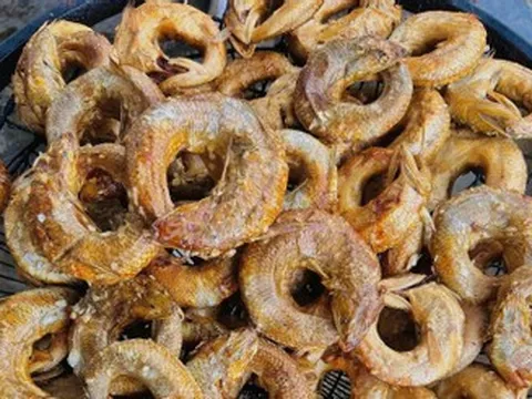Loài cá 'miệng ngậm đuôi', vừa hấp vừa xông khói thành đặc sản nức tiếng xứ Nghệ