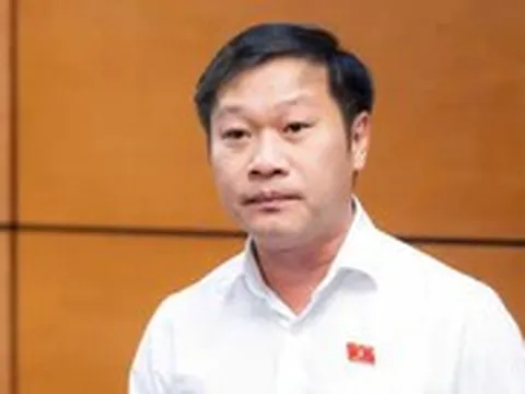 'Một lần vượt đèn đỏ bằng xe máy bị phạt khoảng 83% thu nhập bình quân đầu người một tháng'