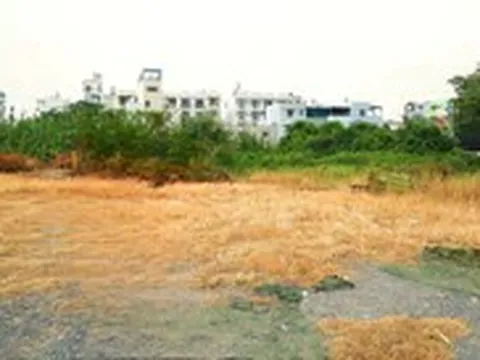 Để đất trống do vướng quy hoạch, đất để dành cho con có bị xem bỏ hoang, phải đánh thuế?