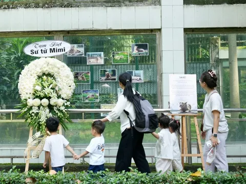 Ngậm ngùi chia tay sư tử trắng vừa qua đời ở Thảo Cầm Viên
