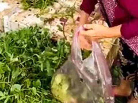 Hai người ở Cà Mau trúng 165 tờ vé số gần 50 tỉ đồng trong 2 ngày liên tiếp