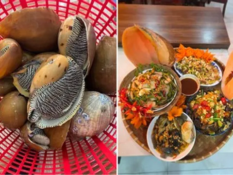 Loại ốc đặc sản ở miền Trung nửa giòn ngọt, nửa bùi ngậy, 1 con nấu được 3-4 món